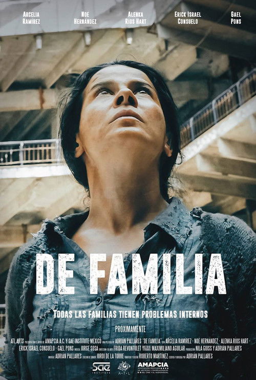 About Family (2017) poster