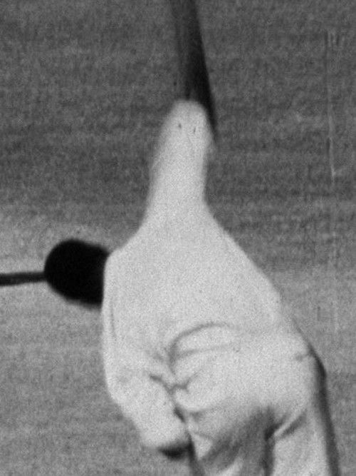 Jamaica – Third Test (1960) poster