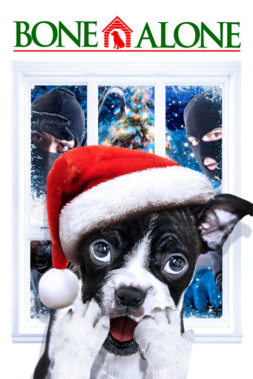 Tek Başına (2013) poster