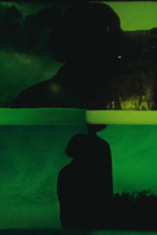 Look at the Wood (1975) poster