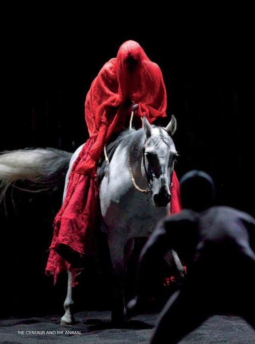 The Centaur and the Animal (2010) poster