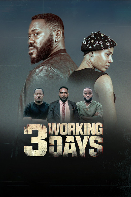 3 Working Days (2024) poster