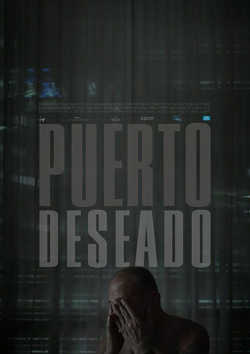 Port Desire (2023) poster