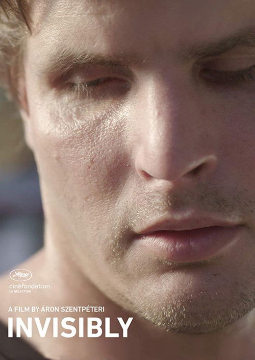 Invisibly (2017) poster