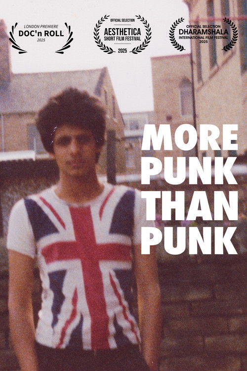More Punk Than Punk (2025) poster