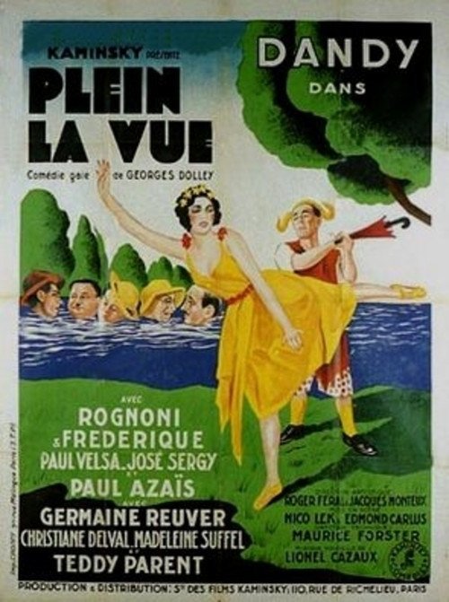 Full view (1931) poster