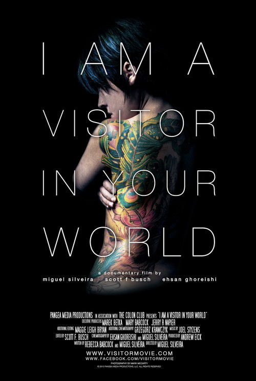 I Am a Visitor in Your World (2013) poster