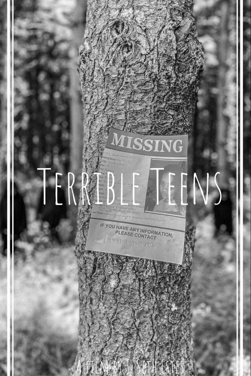 Terrible Teens (2022) poster