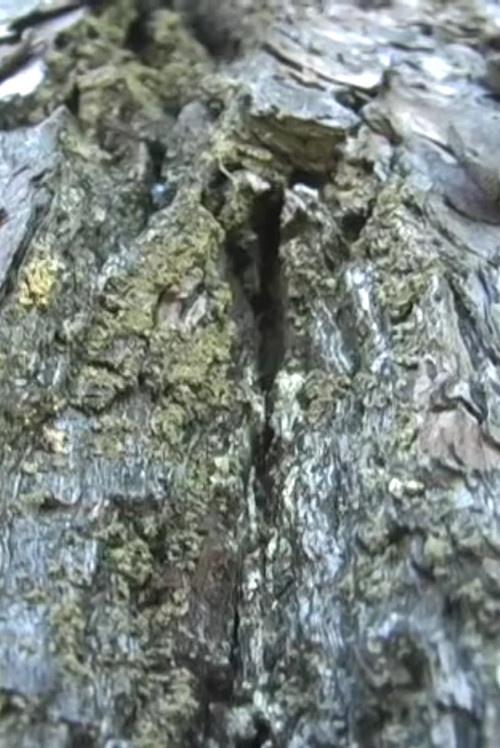 3 Parts for Today (2007) poster