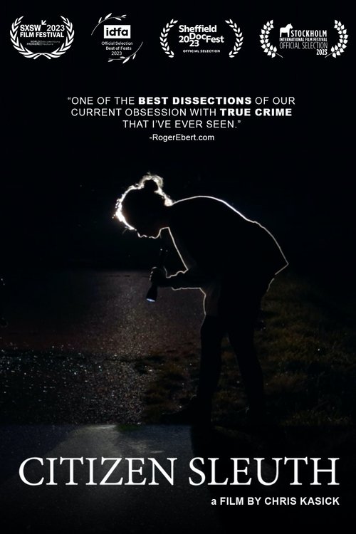 Citizen Sleuth (2023) poster