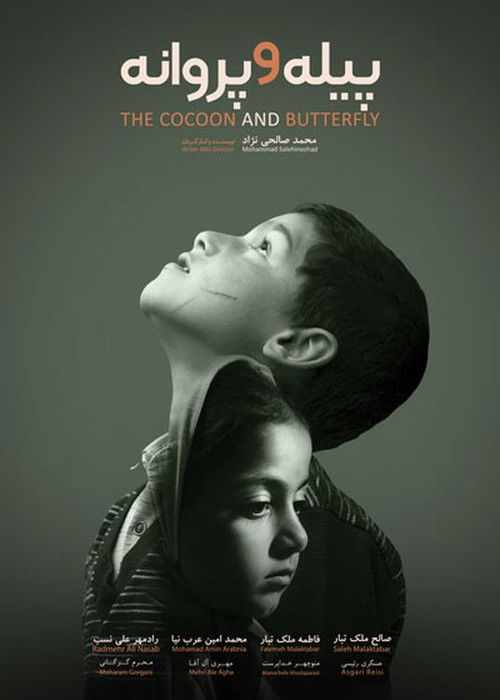 The Cocoon & Butterfly (2020) poster