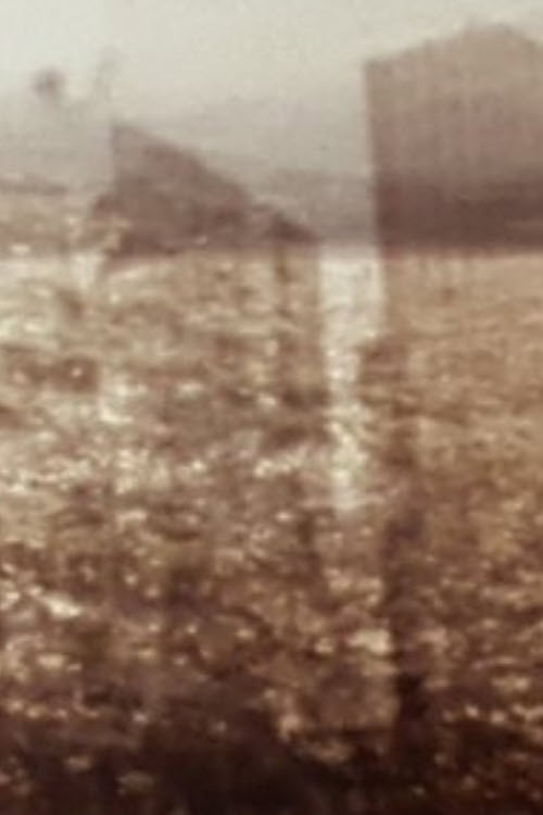 Mesmo Rio - Same River (2019) poster