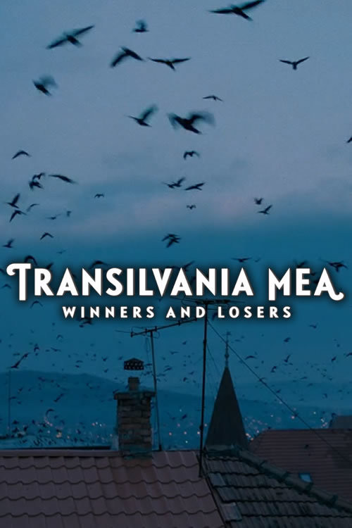 Transilvania Mea - Von Gewinnern und Verlierern (2017) poster