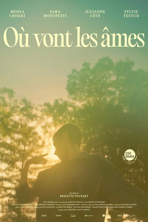 Où vont les âmes? (2025) poster
