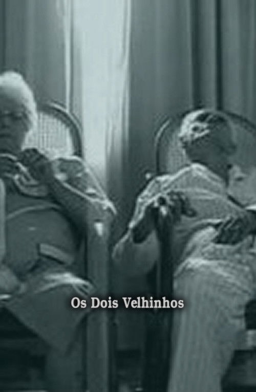 Os Dois Velhinhos (1996) poster