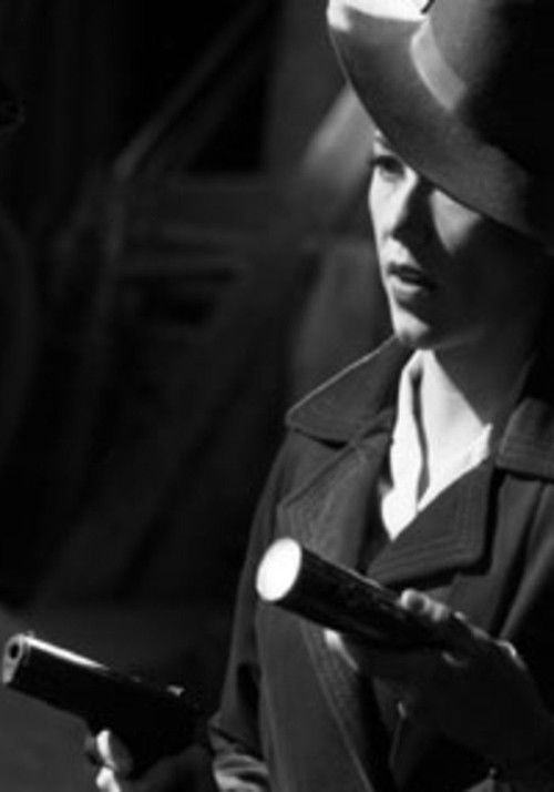 The Porcelain Pussy (2004) poster