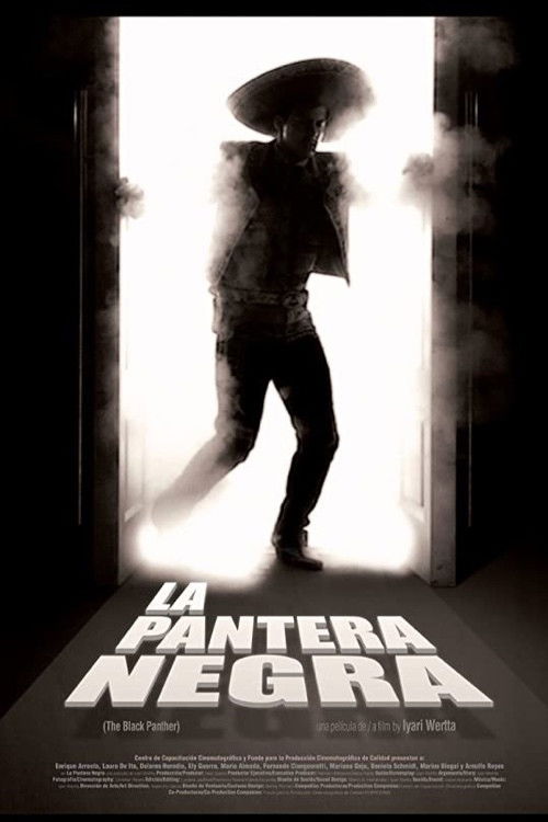 La pantera negra (2010) poster