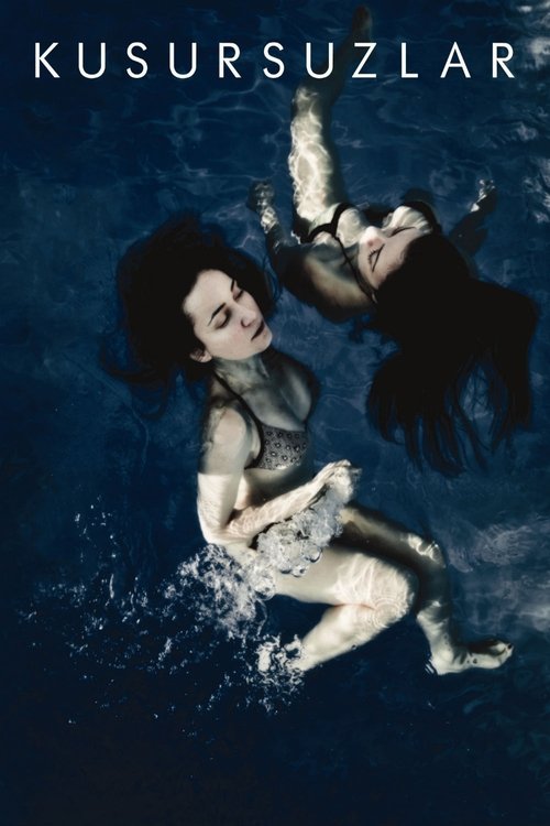 Kusursuzlar (2014) poster