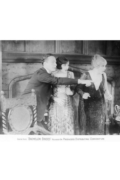 Bachelor Brides (1926) poster