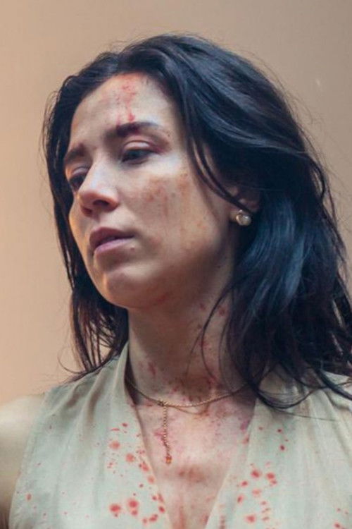 Aurora 15 (2025) poster