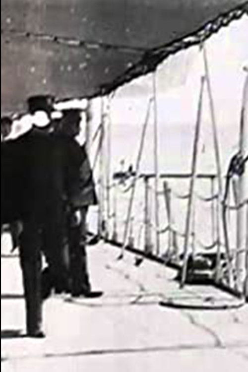 Admiral Dewey Receiving the Washington and New York Committees (1899) poster