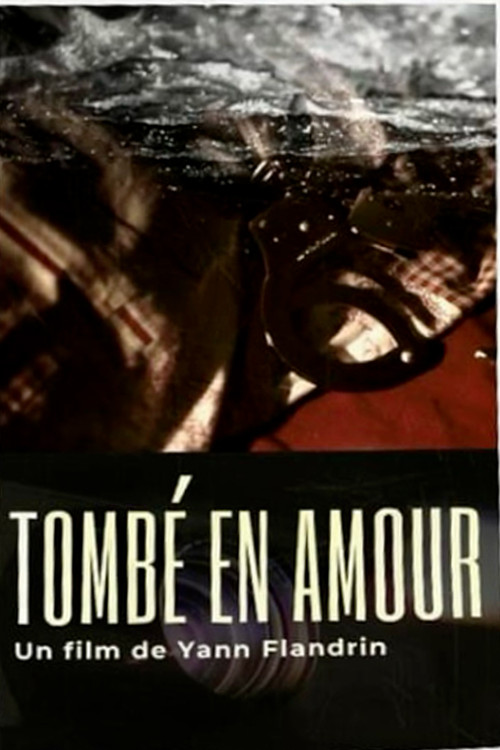 Tombé en amour poster