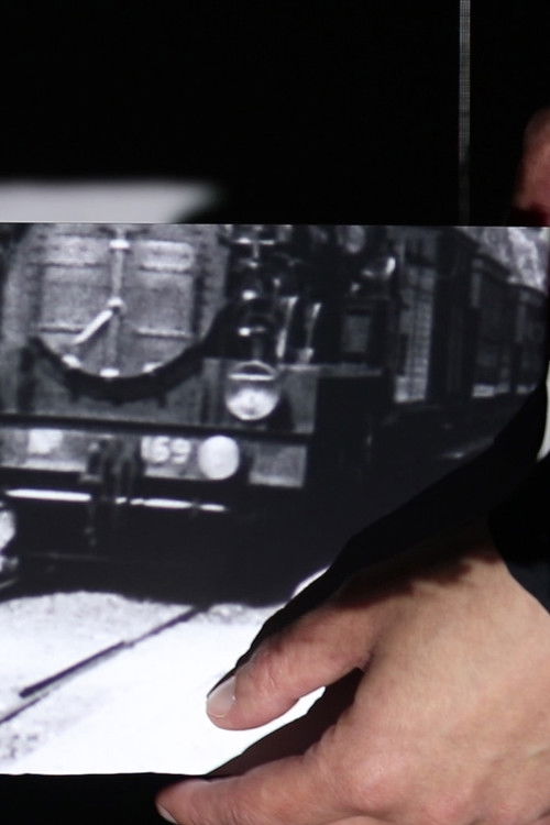 Newsreel 63 – The Train of Shadows (2017) poster