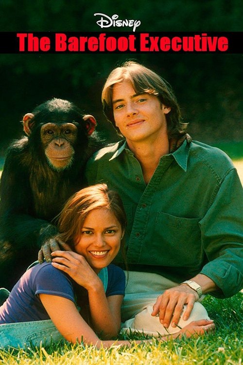 The Barefoot Executive (1995) poster