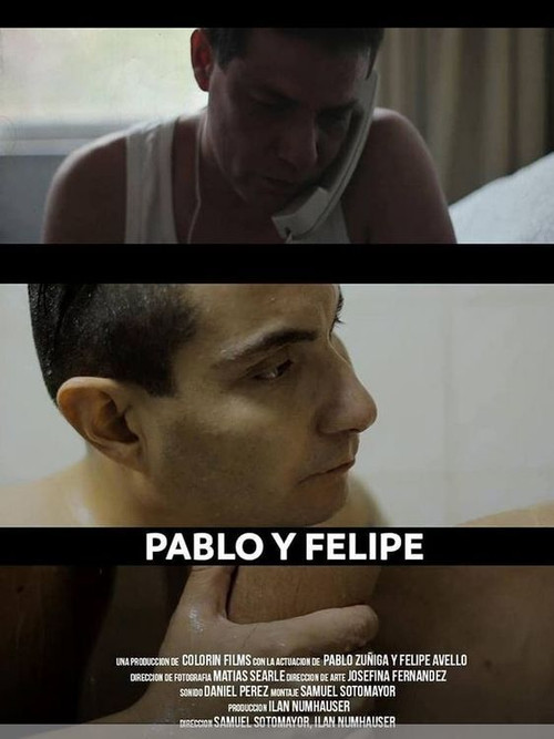 Pablo y Felipe (2012) poster