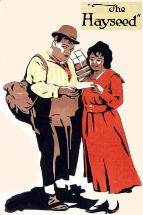 The Hayseed (1919) poster