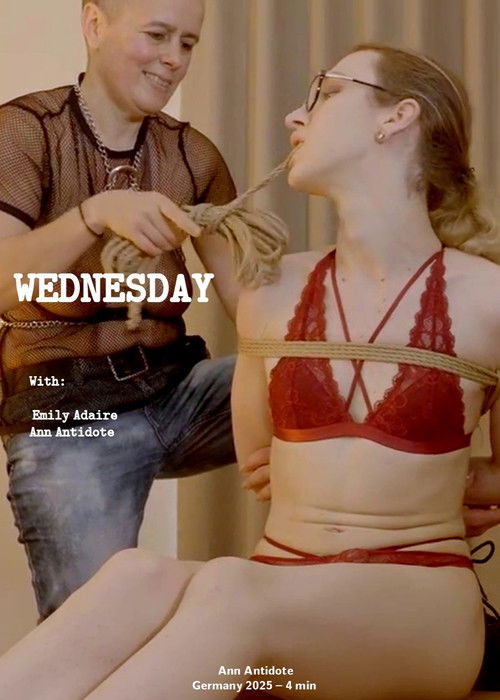 Wednesday (2025) poster