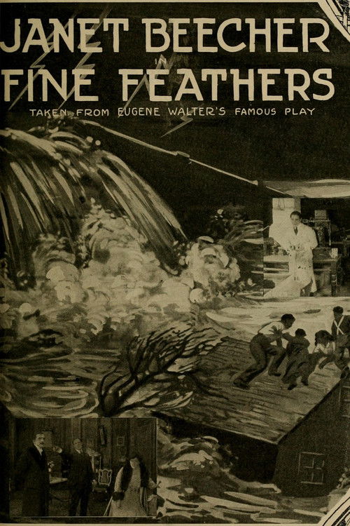 Fine Feathers (1915) poster
