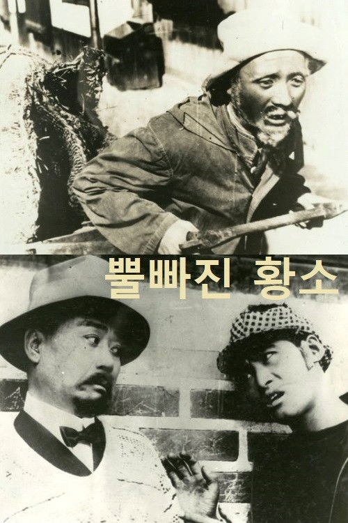 An Ox without Horn (1927) poster