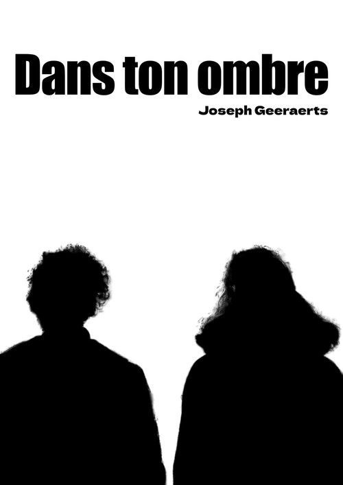 Dans ton ombre (2026) poster