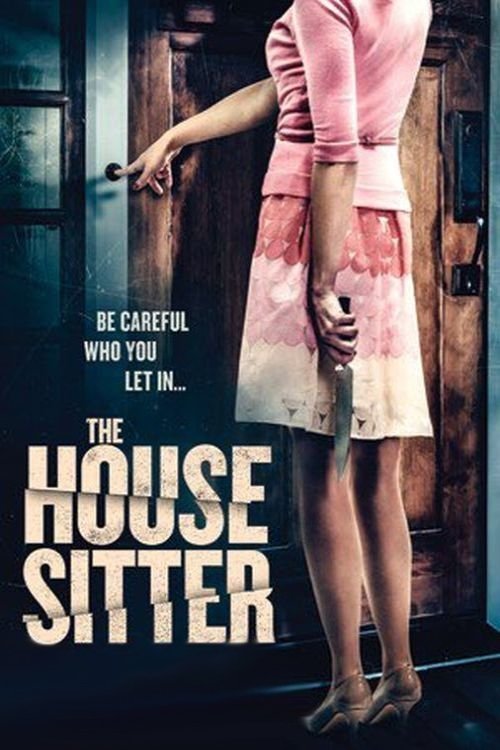 The House Sitter (2015) poster