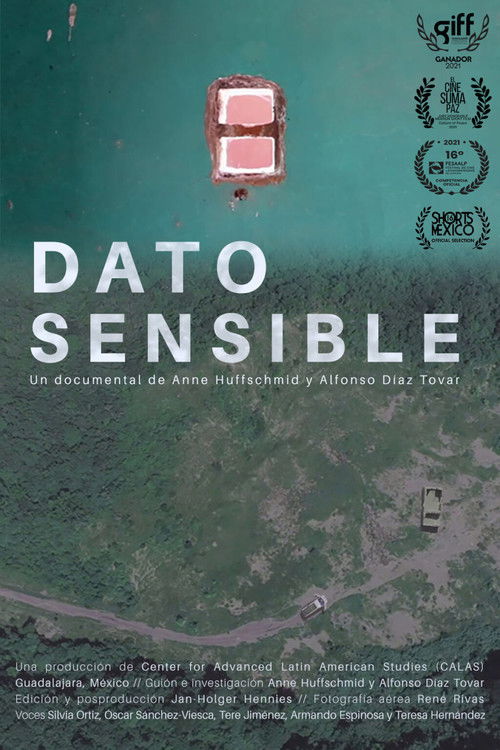 Sensitive Data (2021) poster