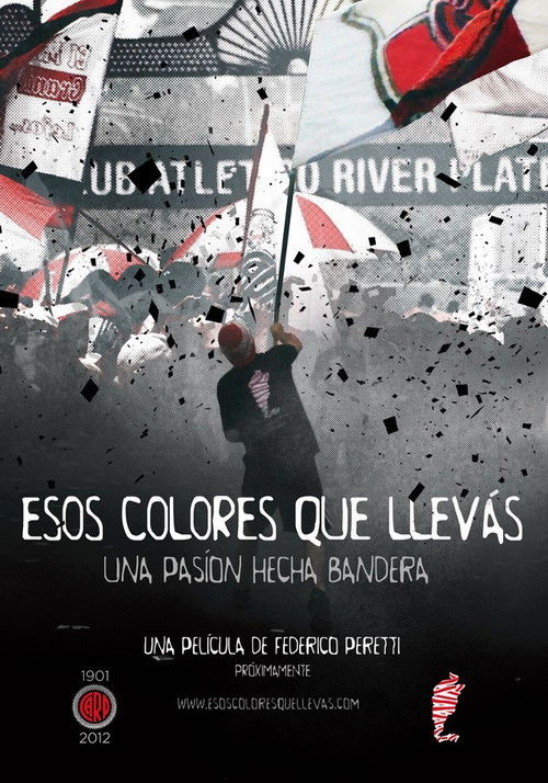 Esos colores que llevás (2013) poster