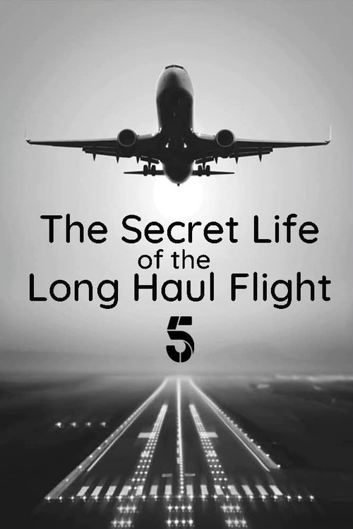 Secret Life of the Long Haul Flight (2017) poster