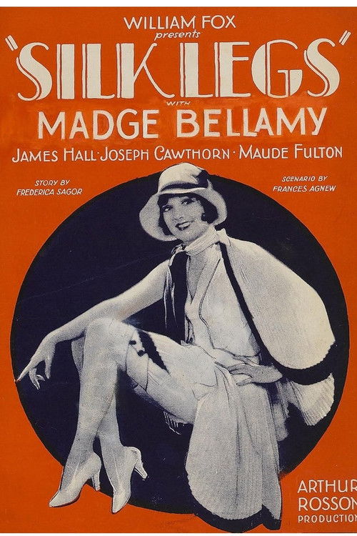Silk Legs (1927) poster