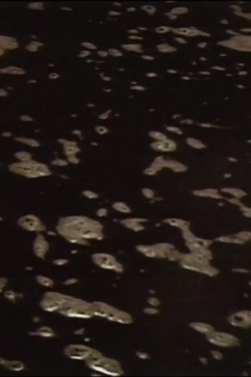 Brewing (1986) poster