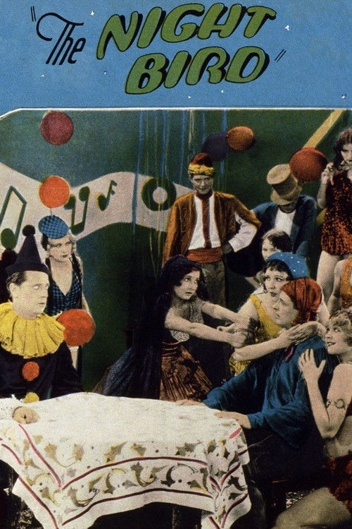 The Night Bird (1928) poster