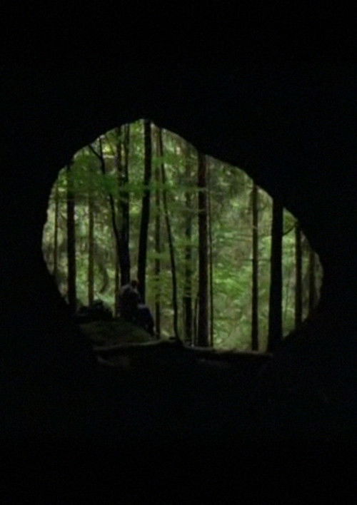 La Guitare de diamants (2009) poster