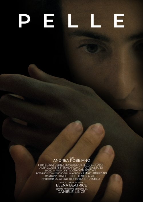 Skin (2011) poster