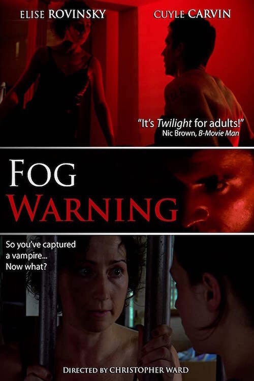 Fog Warning (2011) poster