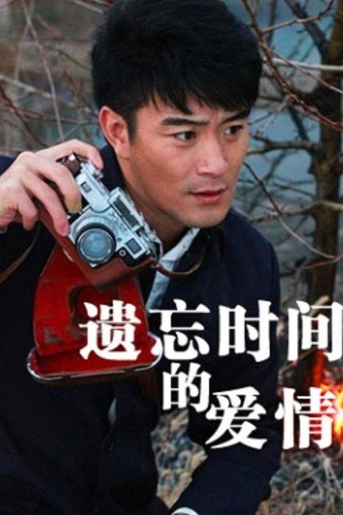 Yi Wang Shi Jian De Ai Qing (2012) poster