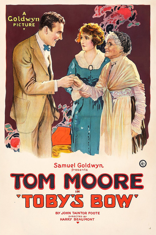 Toby's Bow (1919) poster