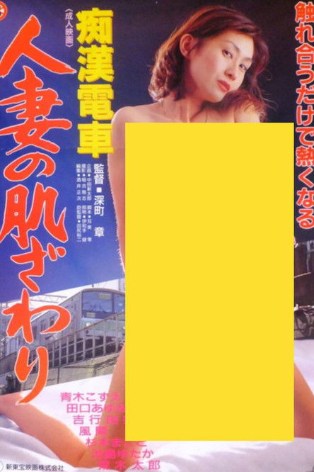Groper Train: The Touch of a Married Woman (1995) poster