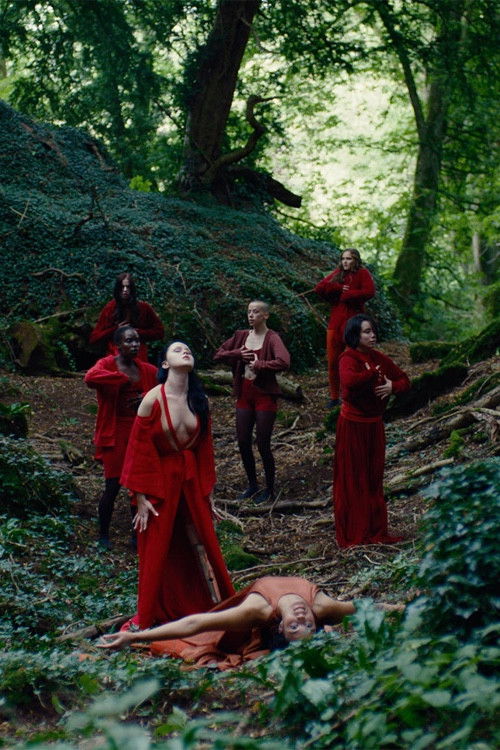 A Screen Test for an Adaptation of Giselle (2019) poster