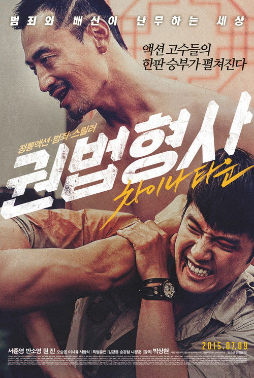 권법형사: 차이나타운 (2015) poster