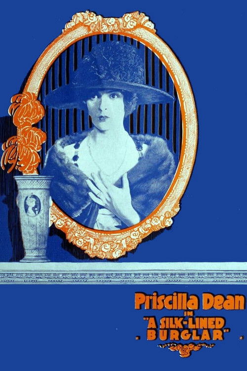 The Silk Lined Burglar (1919) poster